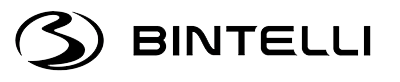 logo_bintelli